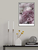 Make today awesome peonies Poster och Canvastavla