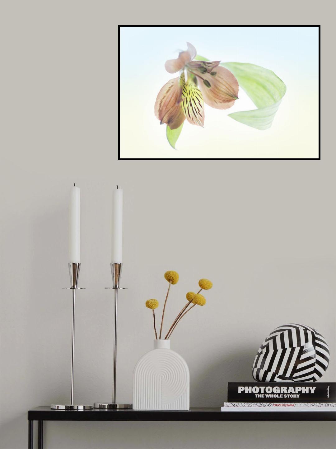 Ingenious inflorescence Poster och Canvastavla