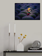 Lavender Poster och Canvastavla