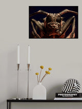 Visitor from outer space Poster och Canvastavla