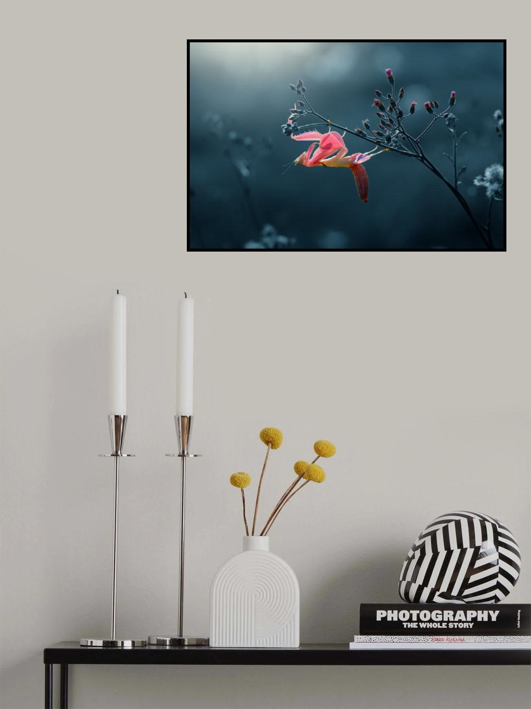 Orchid Mantis Poster och Canvastavla