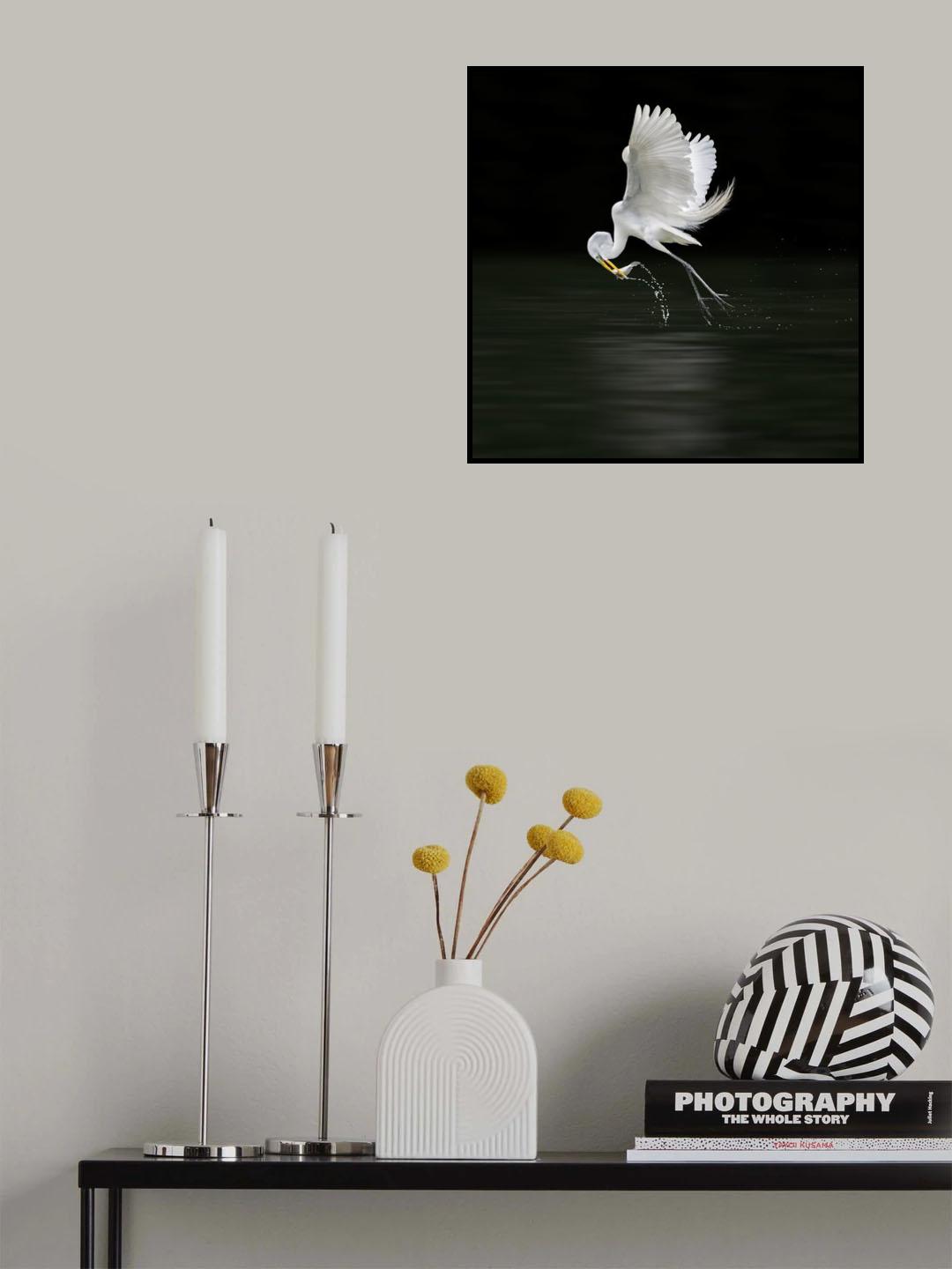 Angler Poster och Canvastavla