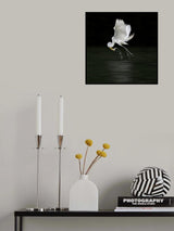 Angler Poster och Canvastavla