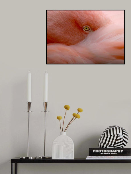 Eye Contact Poster och Canvastavla