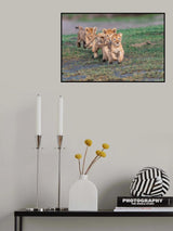 Follow the leader? Poster och Canvastavla
