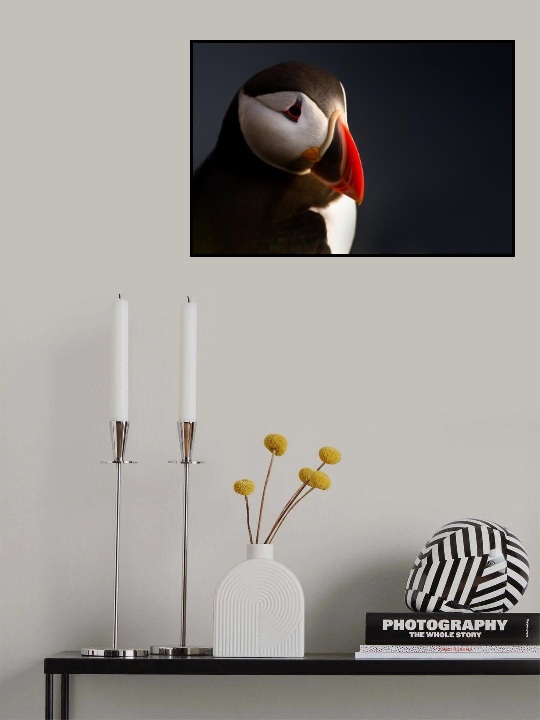 Puffin portrait Poster och Canvastavla