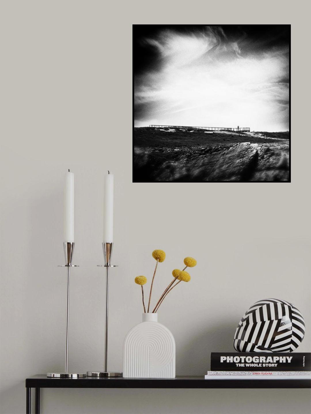free.. Poster och Canvastavla