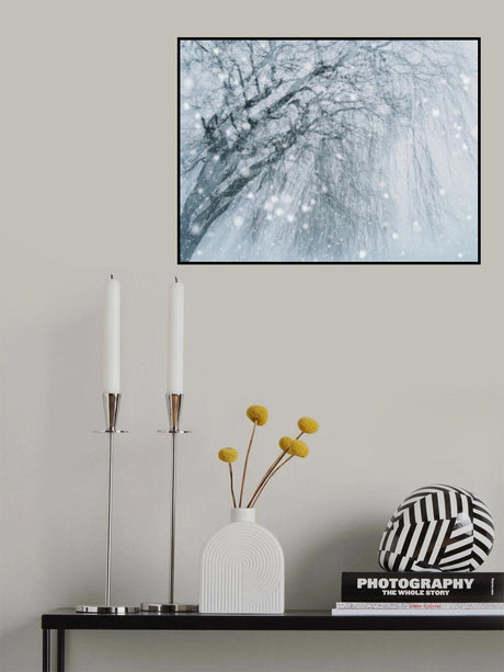 Winter tree Poster och Canvastavla