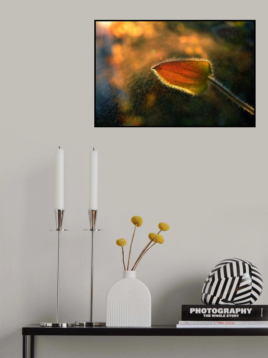Sunshine through the rain Poster och Canvastavla