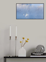 白鸟今飞仙,此意在人间 Poster och Canvastavla