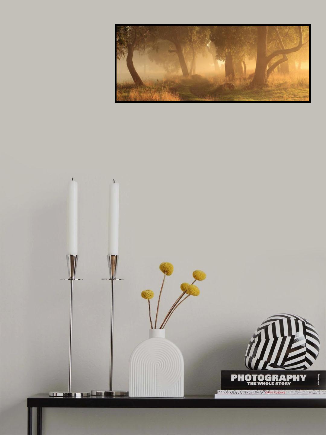 Morning Mist Poster och Canvastavla