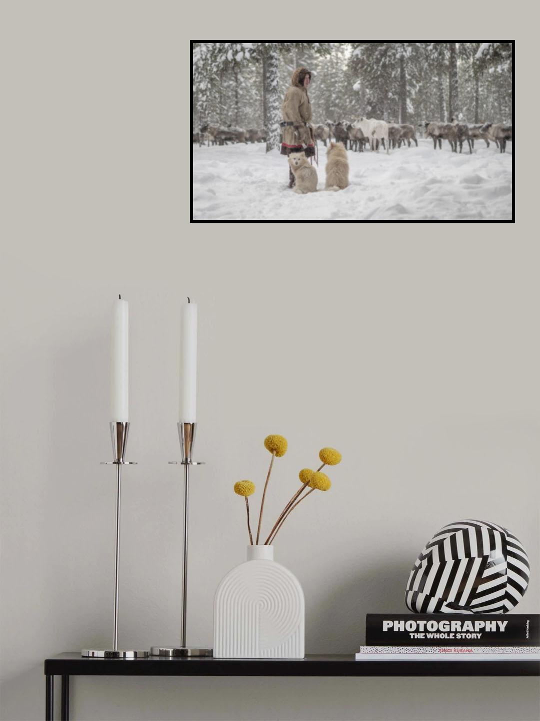 Jigorij, dogs and the herd Poster och Canvastavla