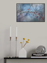 DREAM Poster och Canvastavla