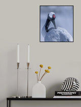 Poster och Canvastavla