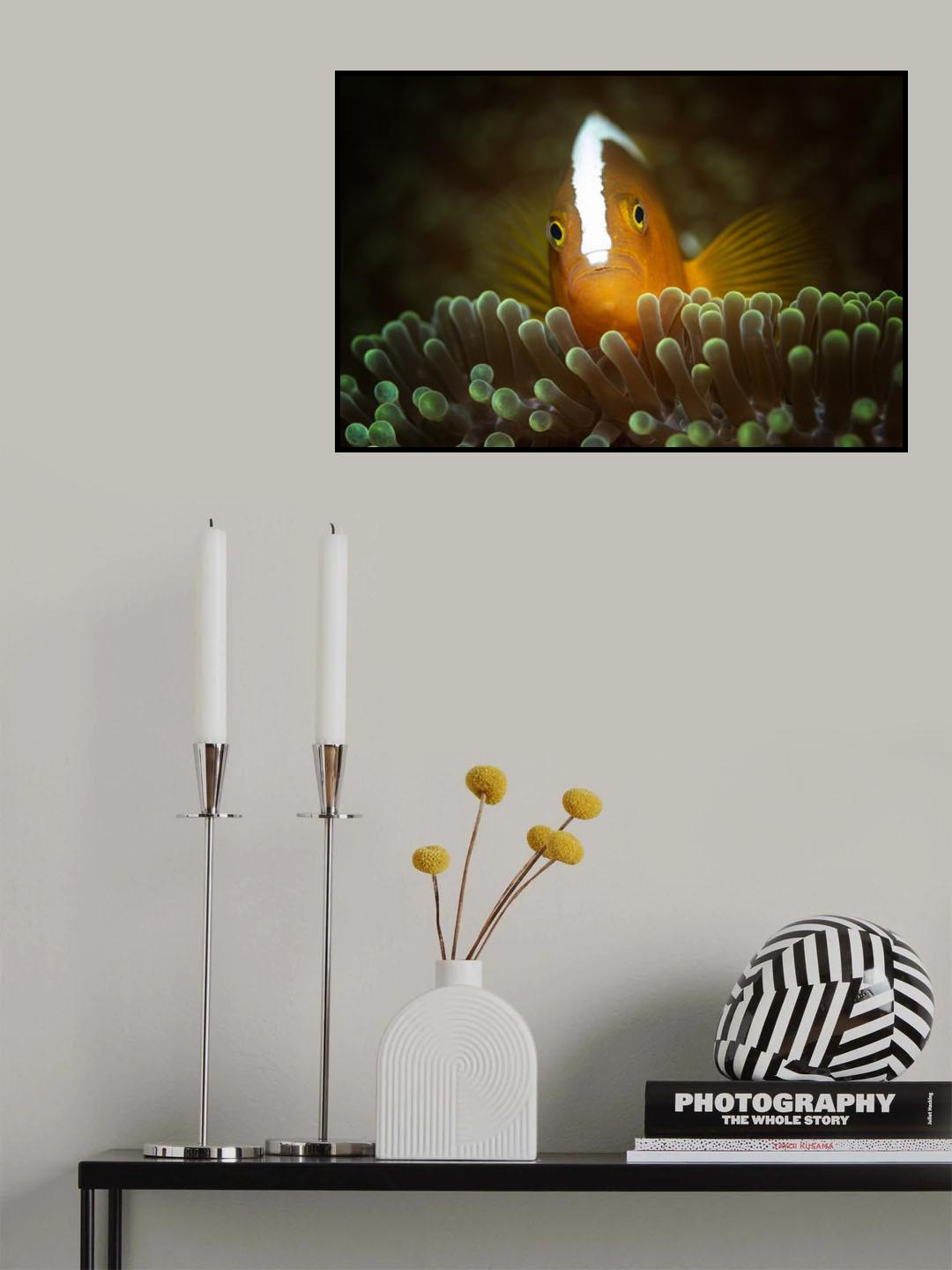 nemo Poster och Canvastavla