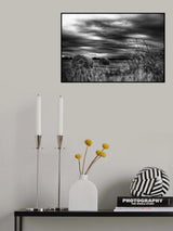 Poster och Canvastavla