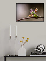 The net of spring Poster och Canvastavla