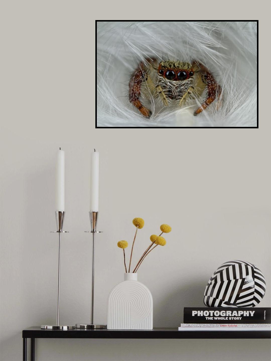 Hide Poster och Canvastavla