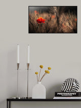 Poppy with corn Poster och Canvastavla
