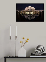 Lotus Poster och Canvastavla