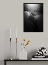 Morning rider Poster och Canvastavla
