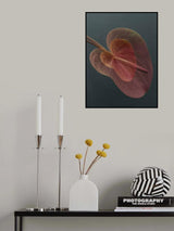 Heart_2 Poster och Canvastavla