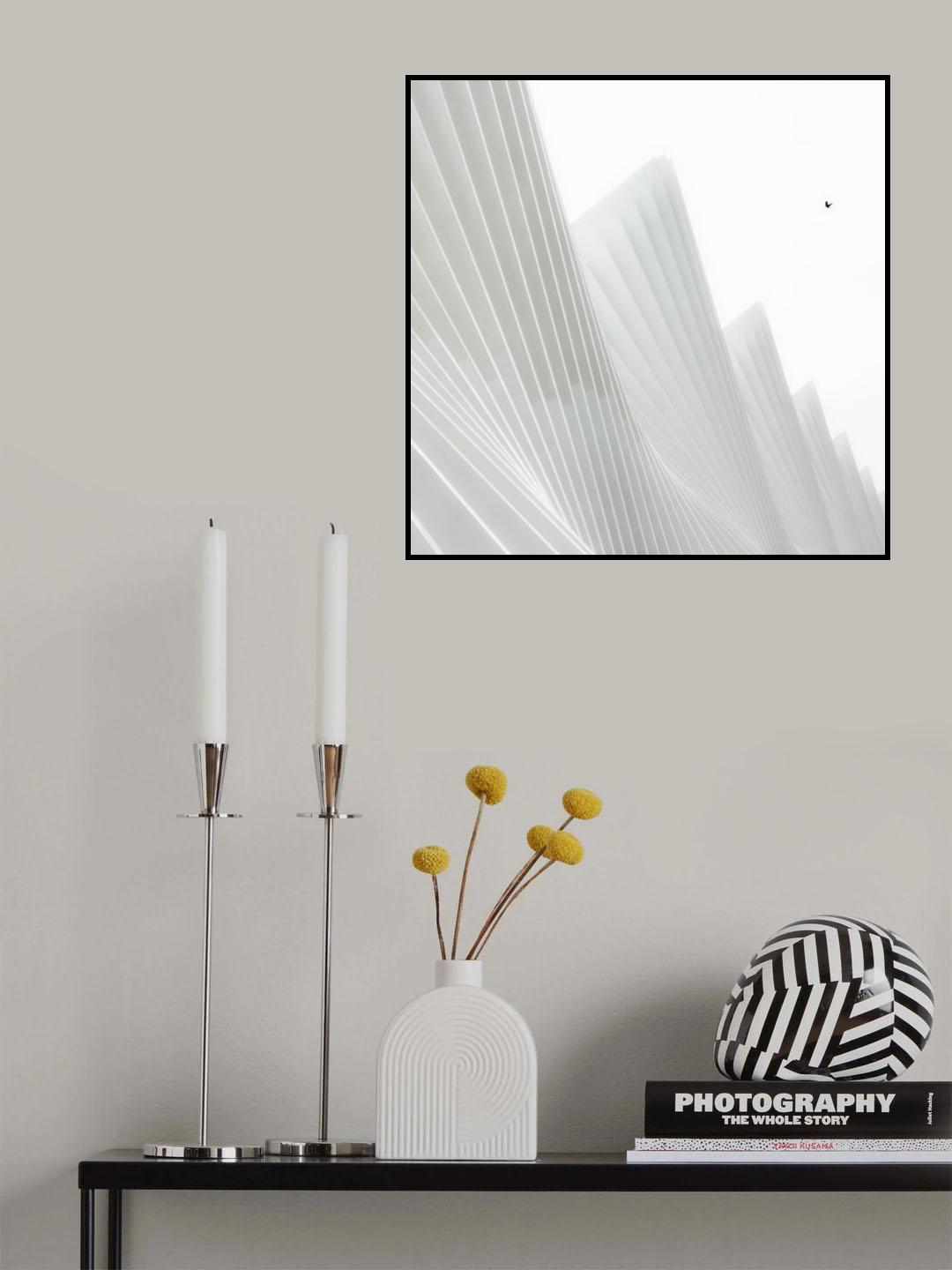 Vele/Sails Poster och Canvastavla