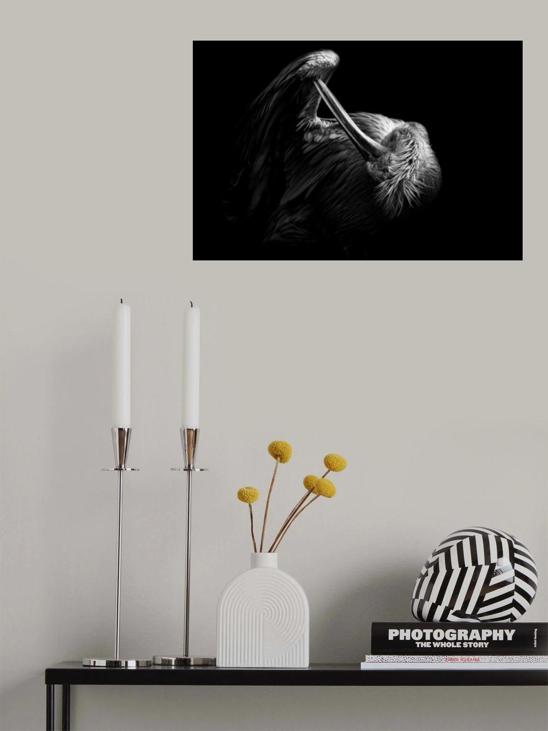 FLAMINGO Poster och Canvastavla