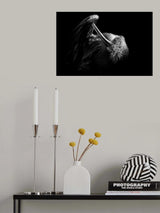 FLAMINGO Poster och Canvastavla