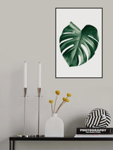 Monstera Natural 23 Poster och Canvastavla