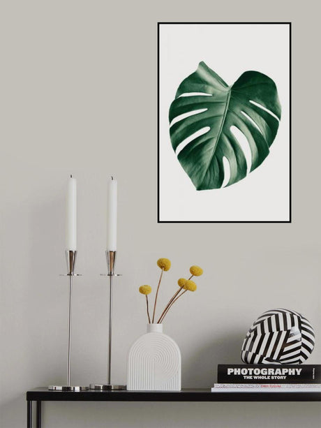 Monstera Natural 23 Poster och Canvastavla
