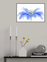 Floral Fountain Poster och Canvastavla