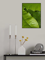 Loving the Leaves Poster och Canvastavla
