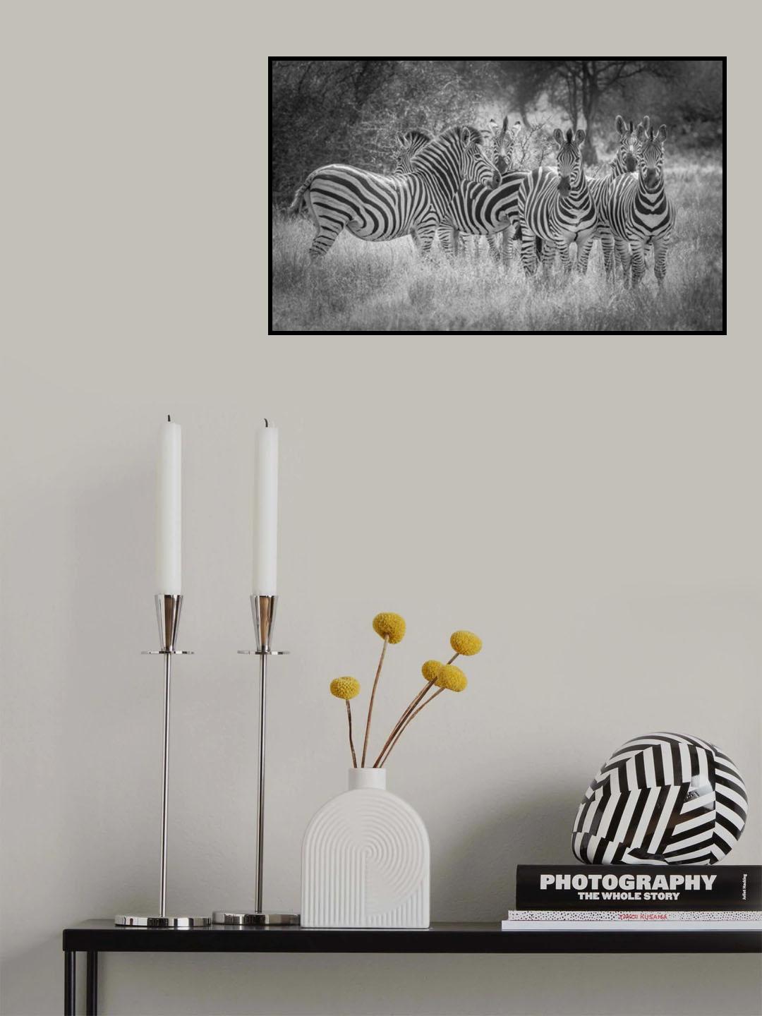 Nature's referees Poster och Canvastavla