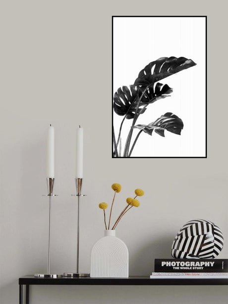 Monstera Black and White 03 Poster och Canvastavla