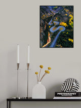 Autumn Curves Poster och Canvastavla