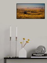Sperrgebiet in bloom Poster och Canvastavla