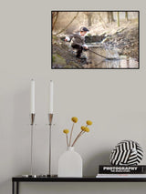 Happy splash Poster och Canvastavla