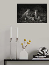 Cheetah Cubs Poster och Canvastavla