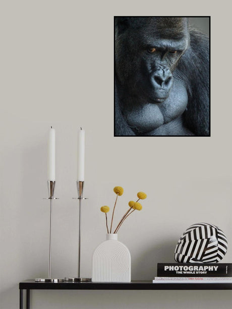 Unhappy Gorilla Poster och Canvastavla