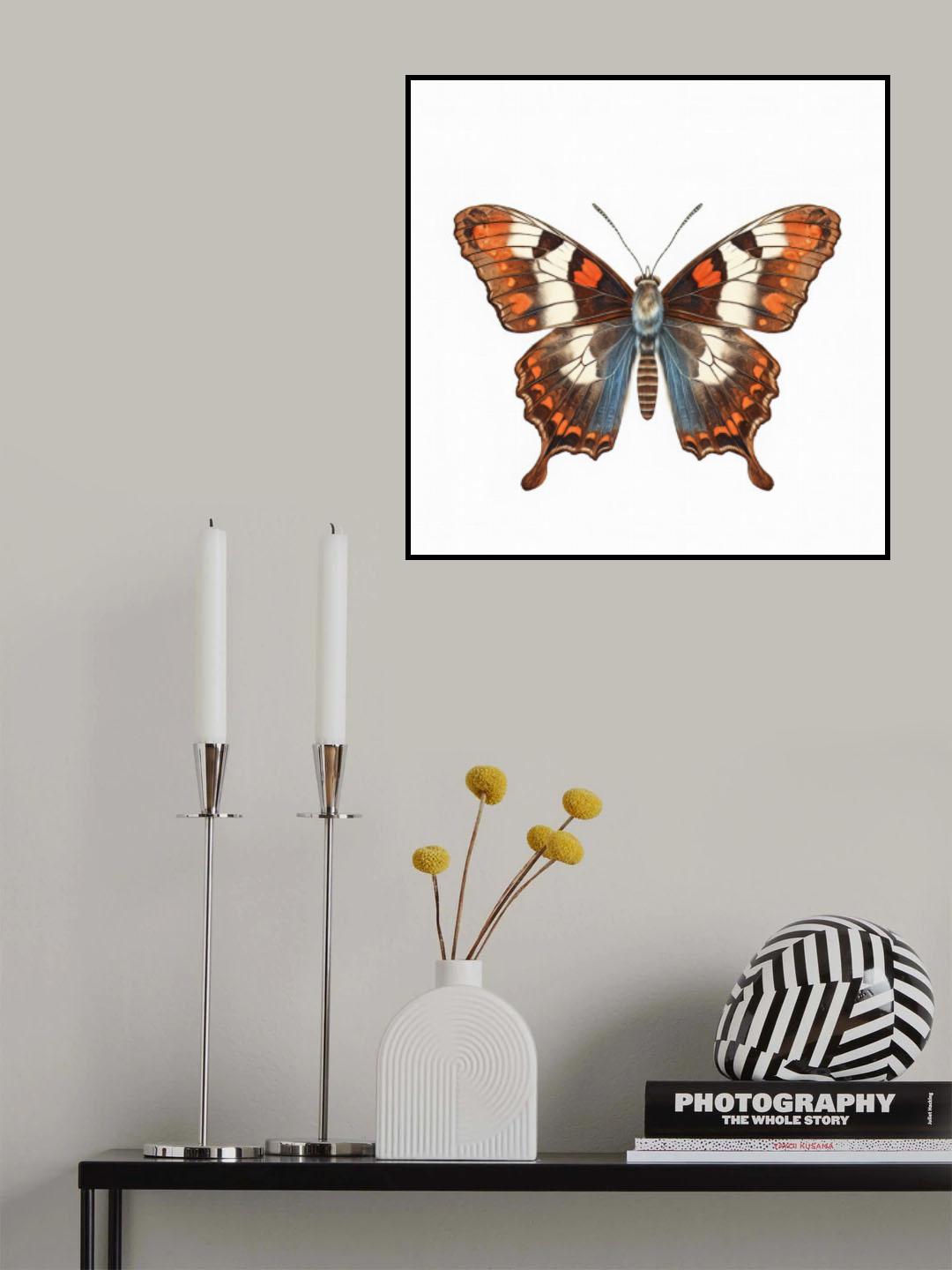 Butterfly 36 Poster och Canvastavla