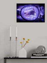 A New Life Poster och Canvastavla