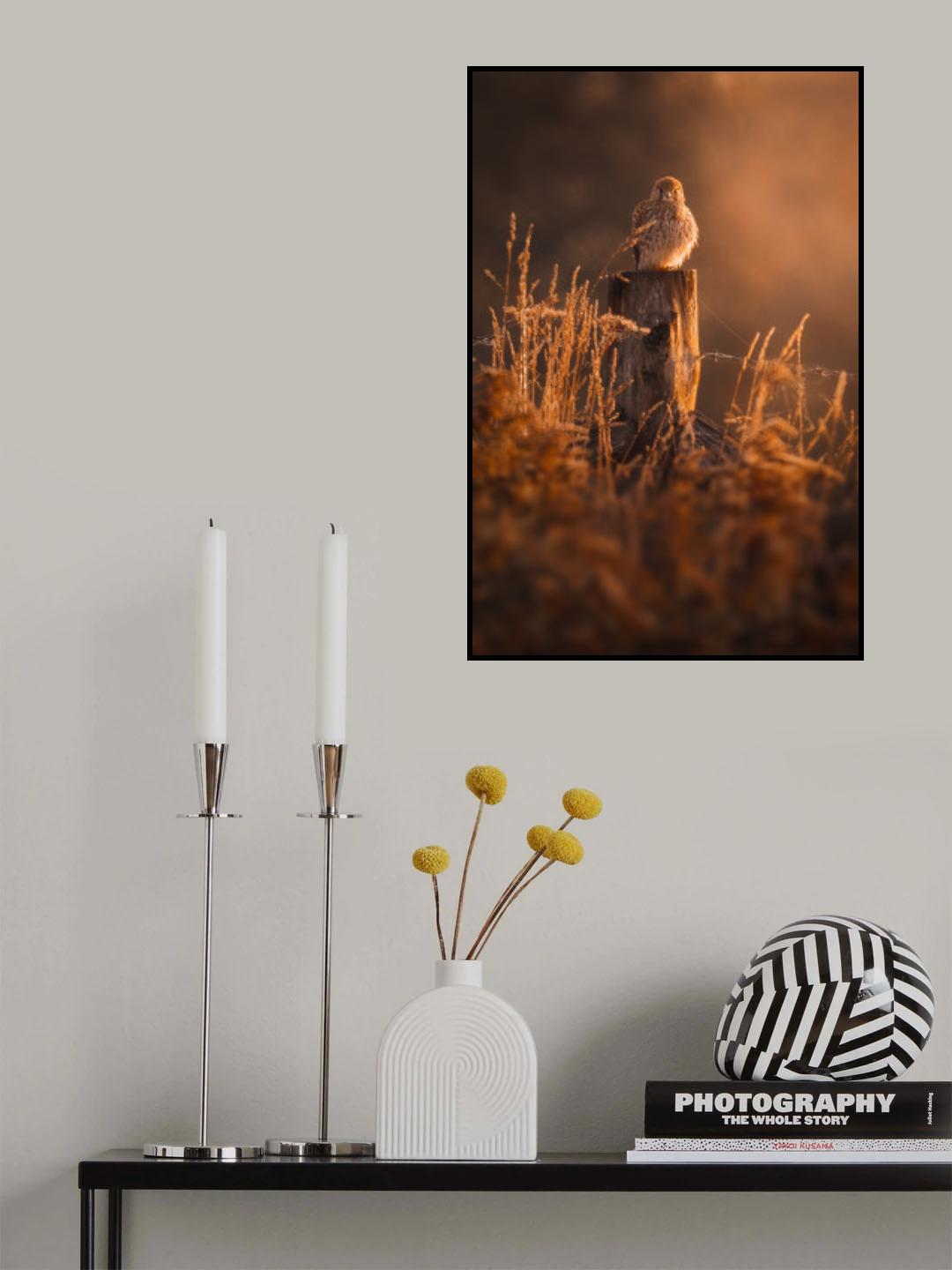 Good Morning Poster och Canvastavla
