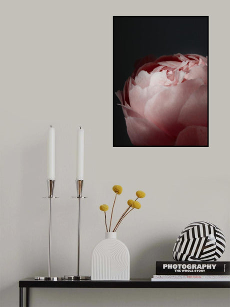 Moody blush peony II Poster och Canvastavla