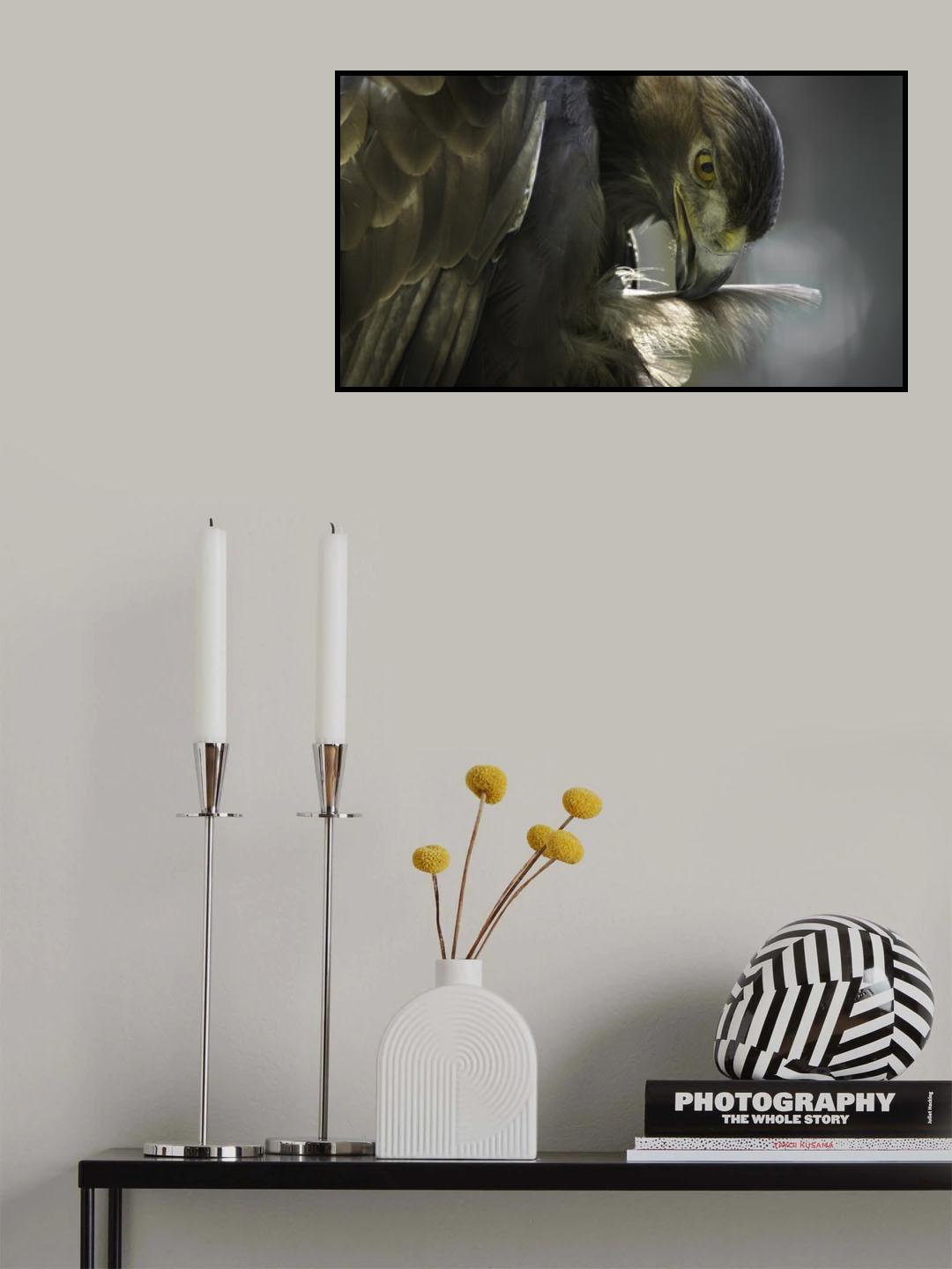 Aigle Doré Poster och Canvastavla