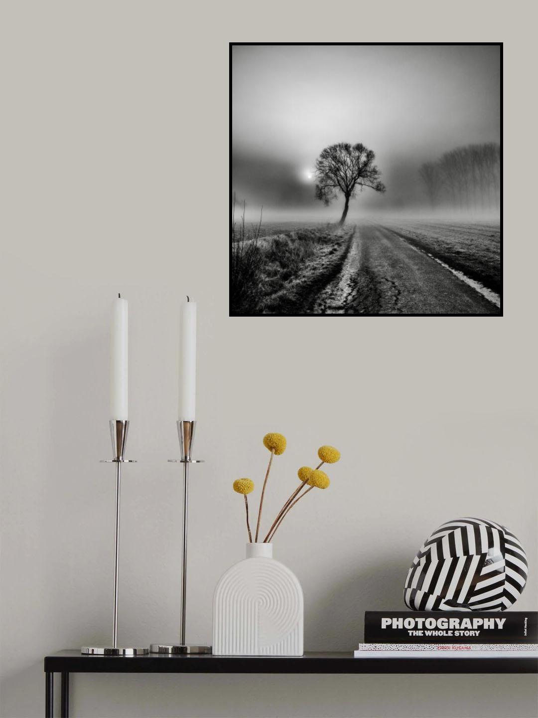 Misty Morning III Poster och Canvastavla
