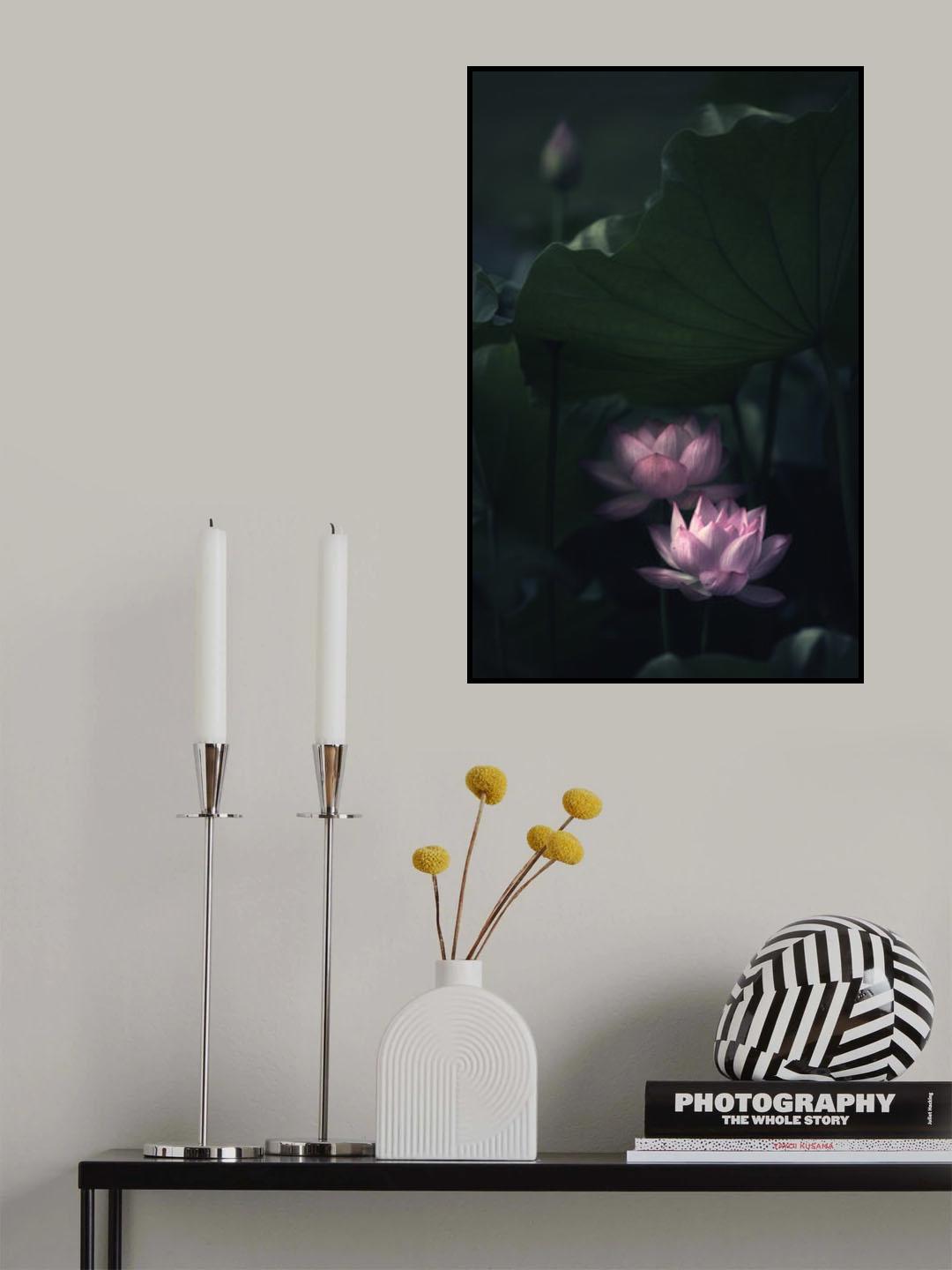 Water Lily Poster och Canvastavla