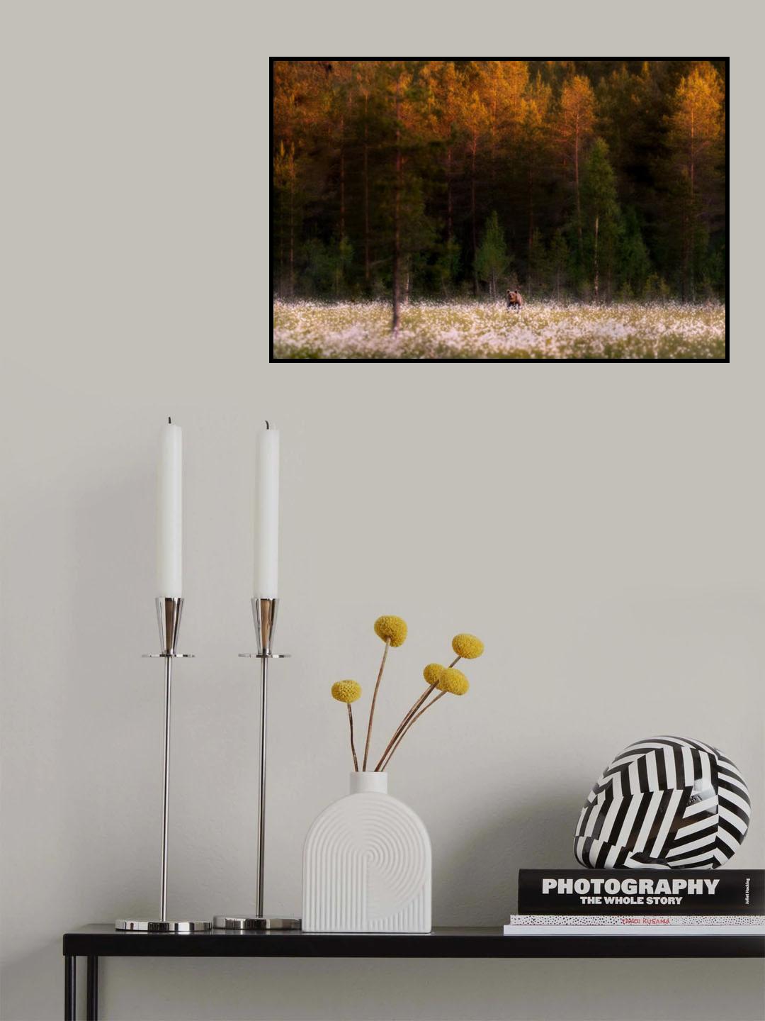 Burning northern forest Poster och Canvastavla