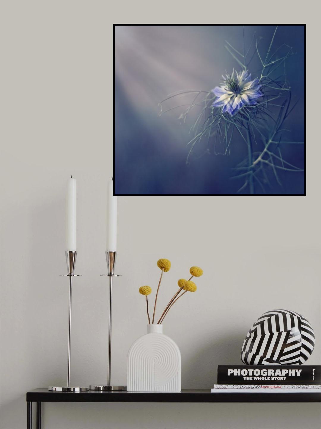 ....* Poster och Canvastavla