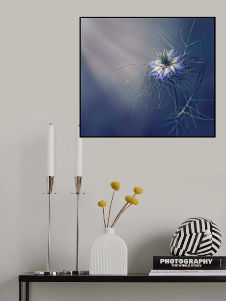 ....* Poster och Canvastavla